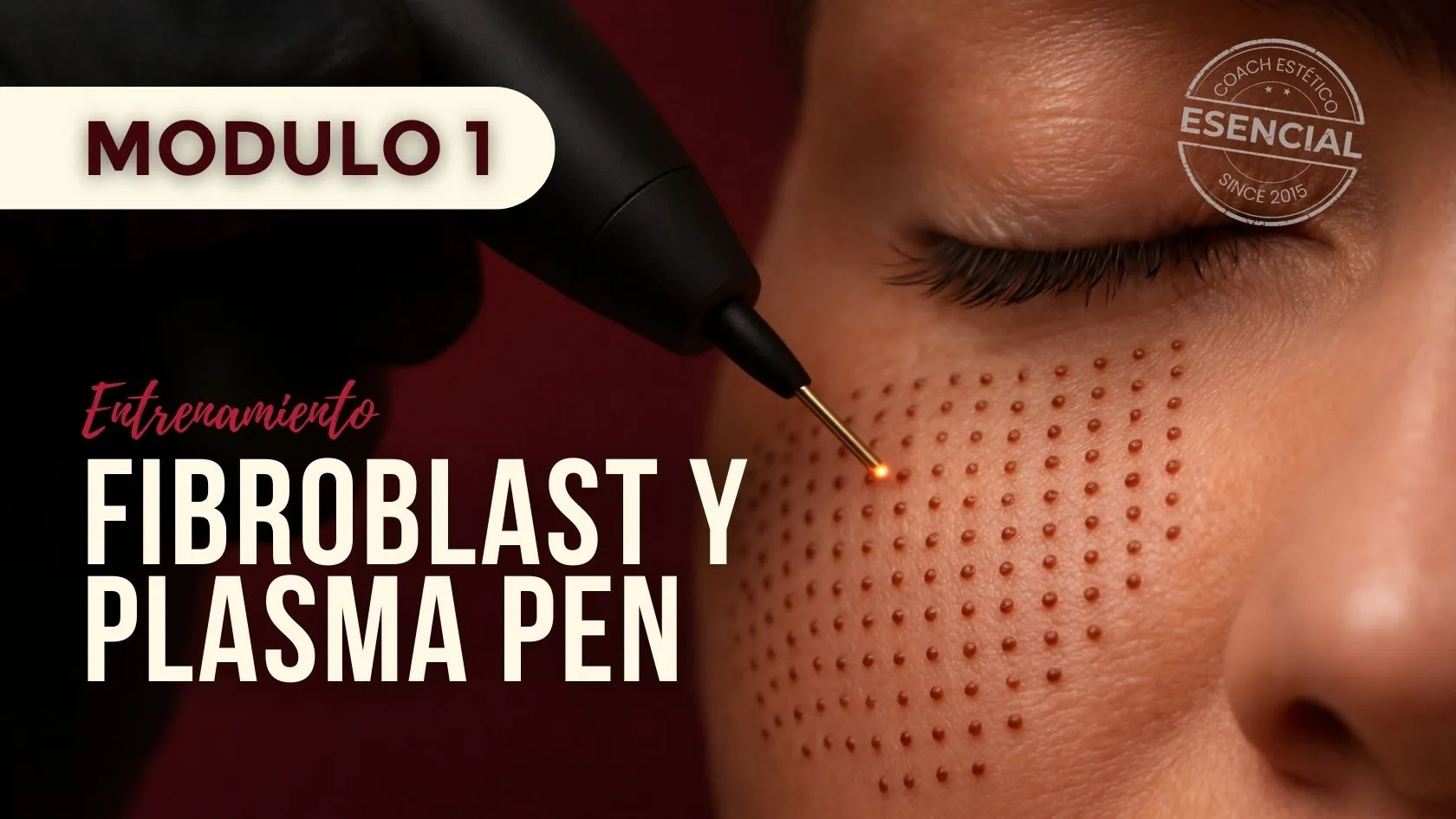 Módulo 01 — Fibroblast y Plasma Pen