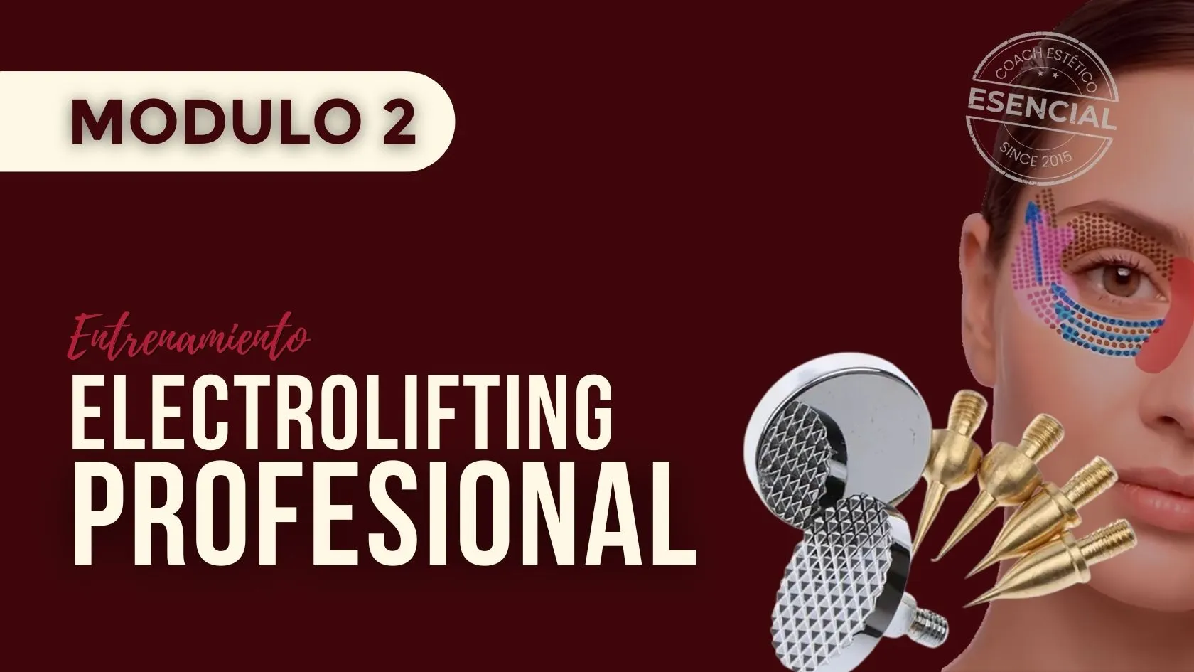 Módulo 02 — Electrolifting Profesional